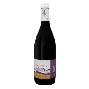 Domaine Beatrice et Pascal Lambert - Chinon Les Puys 2019