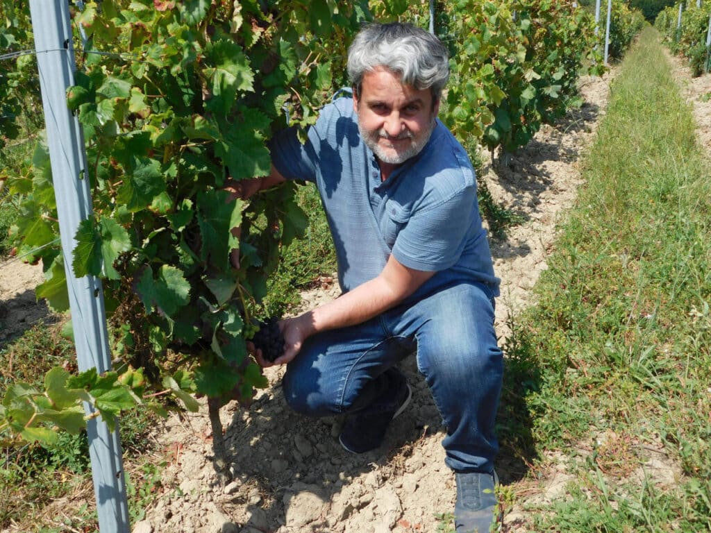 Jean-Baptiste Duquesne dans ses vignes au Château Cazebonne