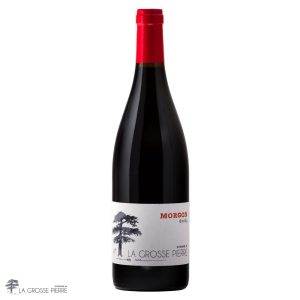 Domaine De La Grosse Pierre - Morgon - Douby 2023