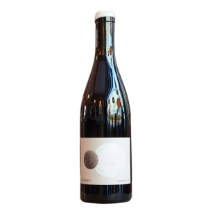 Stellaire - Alpilles - Immersion - 2023