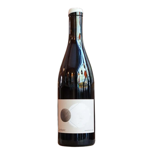 Stellaire - Alpilles - Immersion - 2023