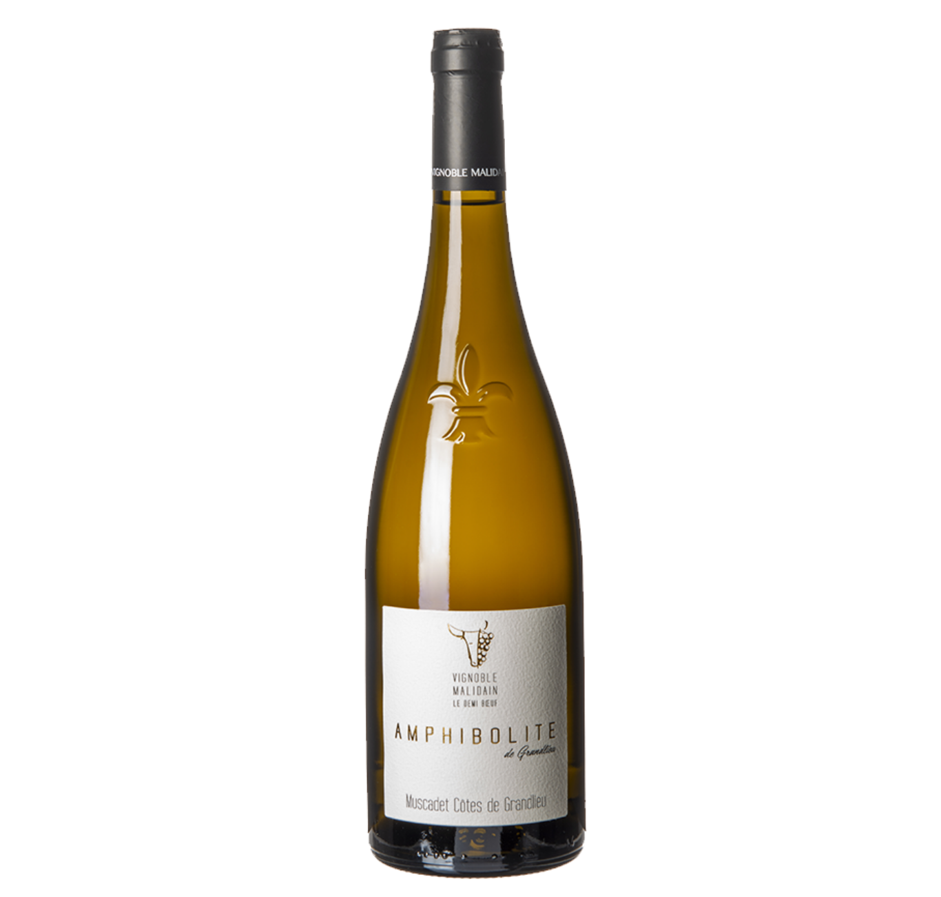 Muscadet Côtes De Grandlieu - Amphibolite 2018