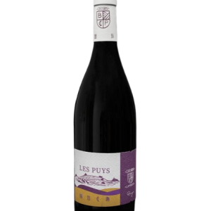 Domaine Lambert - Chinon Les Puys 2022
