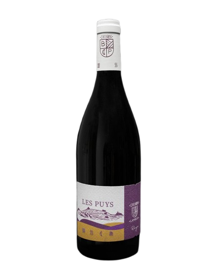 Domaine Lambert - Chinon Les Puys 2022