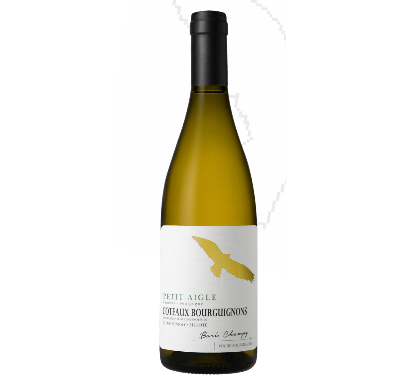 Boris Champy - Coteaux Bourguignons - Petit Aigle 2023