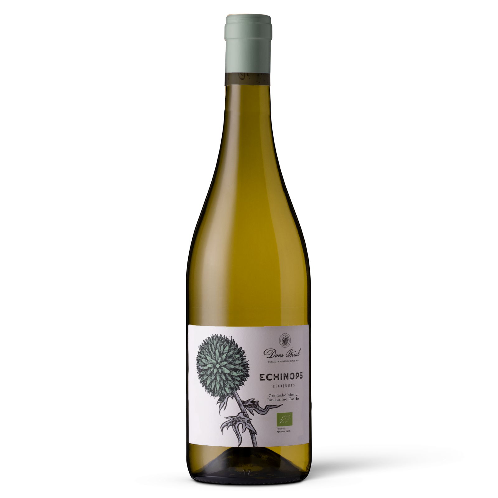 Dom Brial - Côtes Catalanes - Echinops blanc 2024